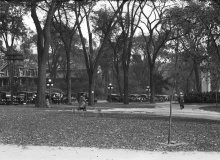A Walk In The Park Boston