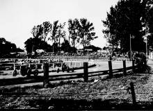 1930-40 race cars 